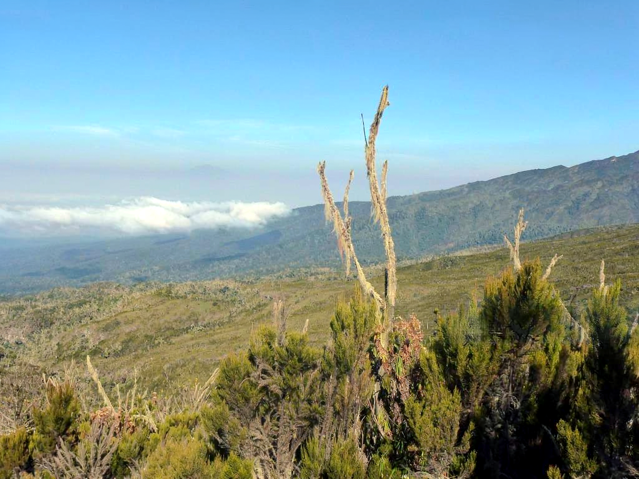 Kilimanjaro Private Climb with Safari Extension